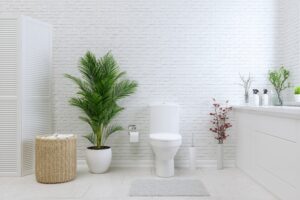 Bathroom Plumbing in Boise, ID