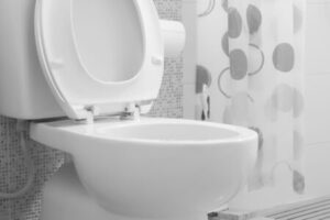 Why is My Toilet Not Fully Flushing?