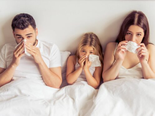 How to Help Your Seasonal Allergies by Improving Indoor Air Quality